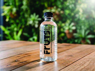 Botella Desechable 330ml